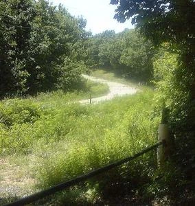 Picture provided by B7C 10/19/2022